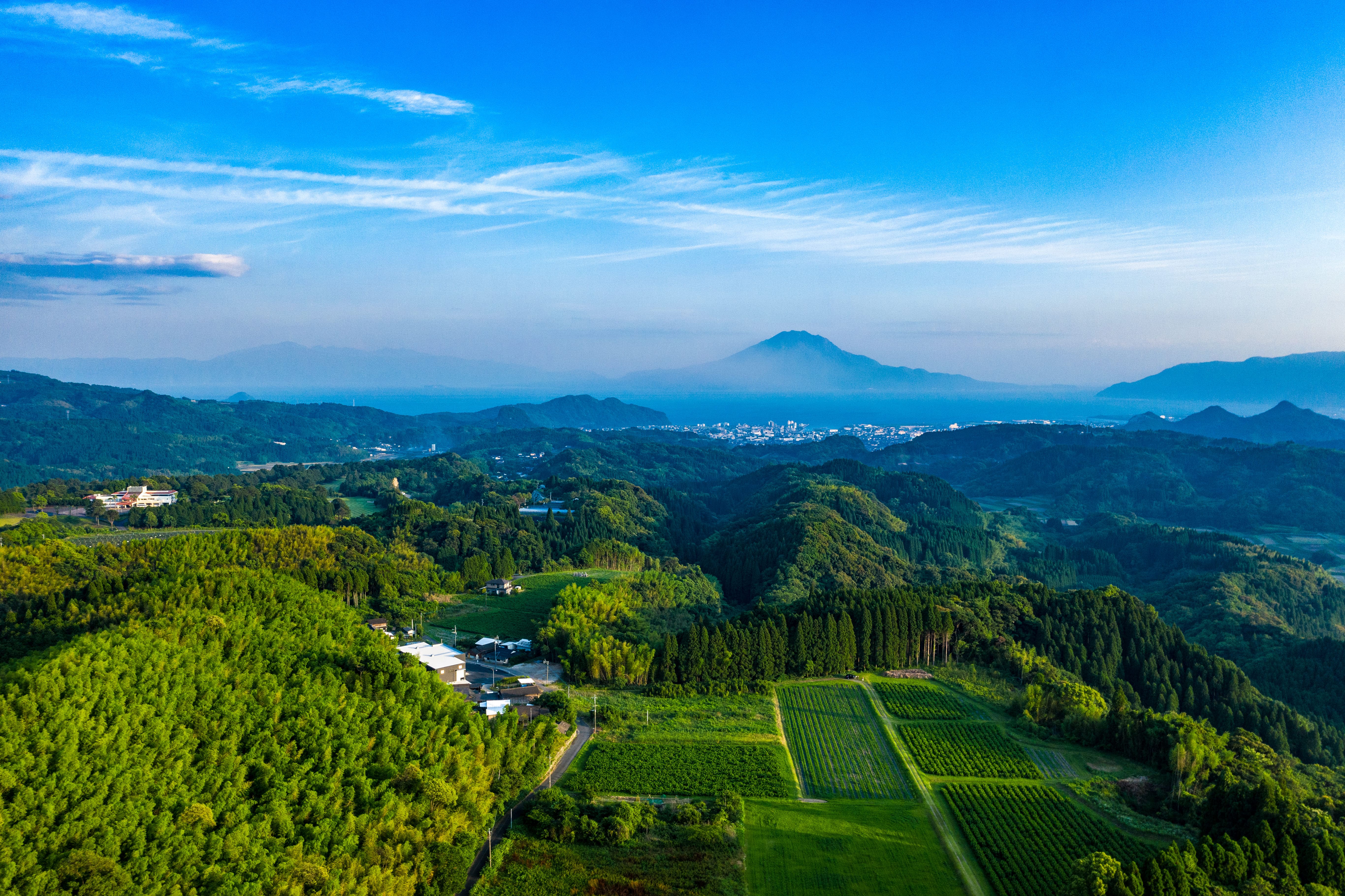 背景画像1