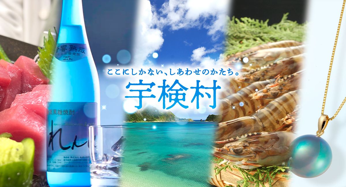 地方創生事業(ふるさと納税)